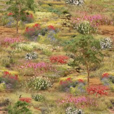 Wildlife Valley 2044 I Outback Florals